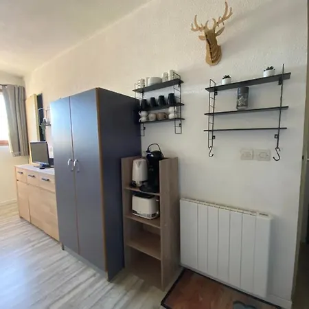 Aux Pieds Des Pistes ! Apartment *
